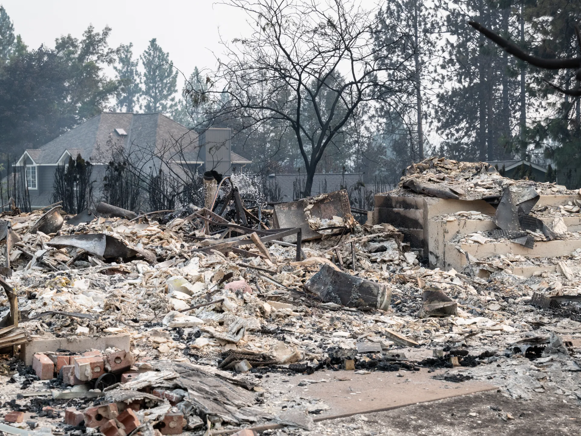 Suspect Apprehended in Connection with Spokane Wildfire as Thousands Evacuate