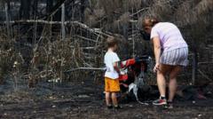 WWII Munitions Unearthed by Wildfires in French Village